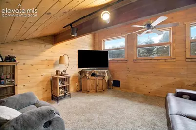 715 W Bison Creek Trail, Florissant, CO 80816 - Photo 22