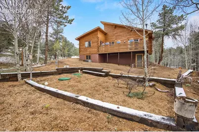 715 W Bison Creek Trail, Florissant, CO 80816 - Photo 2