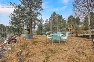 715 W Bison Creek Trail, Florissant, CO 80816 - Photo 32