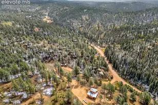 715 W Bison Creek Trail, Florissant, CO 80816 - Photo 46