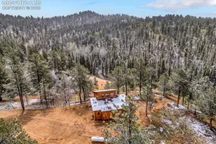 715 W Bison Creek Trail, Florissant, CO 80816 - Photo 38