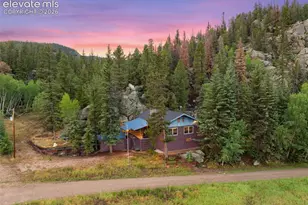 534 Brook Dr, Lake George, CO 80827 - Photo 1