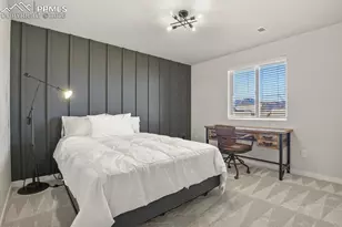 11314 Modern Meadow Loop, Colorado Springs, CO 80921 - Photo 22