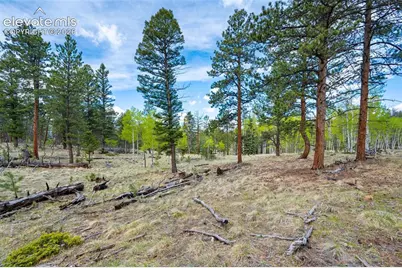 57 Beaver Creek Drive, Lake George, CO 80827 - Photo 10