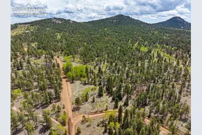 57 Beaver Creek Drive, Lake George, CO 80827 - Photo 6