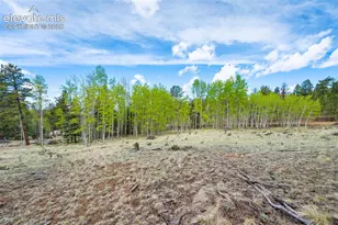 57 Beaver Creek Dr, Lake George, CO 80827 - Photo 1