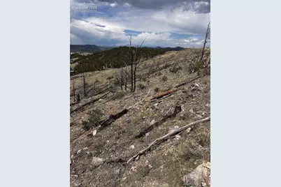 H Path, Cotopaxi, CO 81223 - Photo 8
