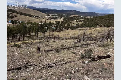 H Path, Cotopaxi, CO 81223 - Photo 6