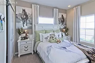 9360 Ludlow Pl, Colorado Springs, CO 80927 - Photo 4