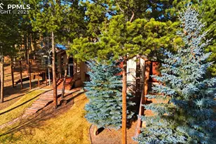 665 Pembrook Dr, Woodland Park, CO 80863 - Photo 38