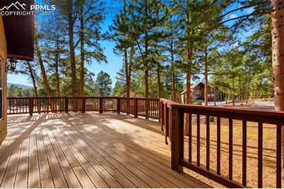 665 Pembrook Drive, Woodland Park, CO 80863 - Photo 36