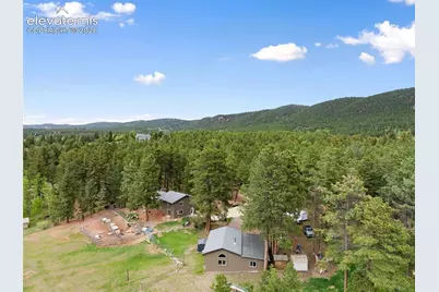 10 Ollie Court, Woodland Park, CO 80863 - Photo 24