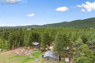 10 Ollie Ct, Woodland Park, CO 80863 - Photo 24