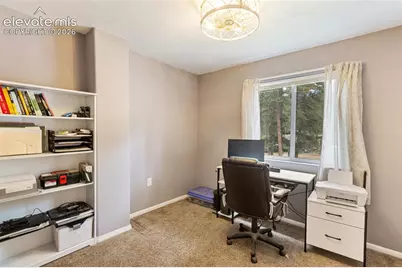 10 Ollie Court, Woodland Park, CO 80863 - Photo 12