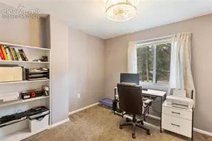 10 Ollie Ct, Woodland Park, CO 80863 - Photo 12