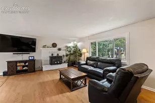 10 Ollie Ct, Woodland Park, CO 80863 - Photo 4
