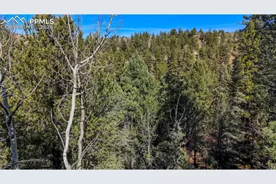 342 Vivenda Road, Cripple Creek, CO 80813 - Photo 8