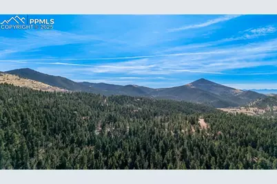 342 Vivenda Road, Cripple Creek, CO 80813 - Photo 4