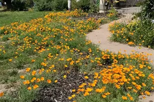 730 Winding Hills Rd, Monument, CO 80132 - Photo 4