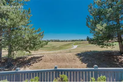 1914 Five Iron Drive, Castle Rock, CO 80104 - Photo 38