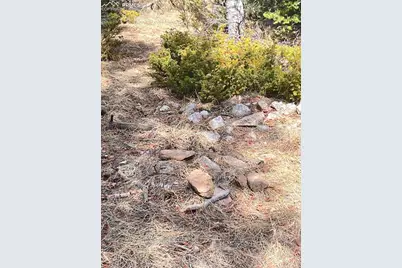 249 Gold Dust Creek Road, Florissant, CO 80816 - Photo 34