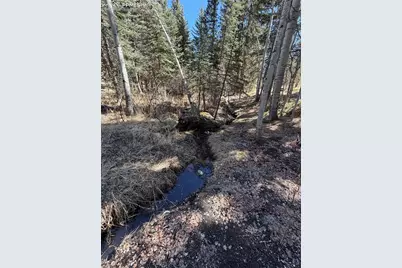 249 Gold Dust Creek Road, Florissant, CO 80816 - Photo 14