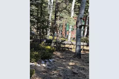 249 Gold Dust Creek Road, Florissant, CO 80816 - Photo 20