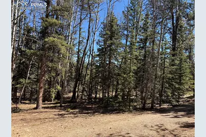 249 Gold Dust Creek Road, Florissant, CO 80816 - Photo 10