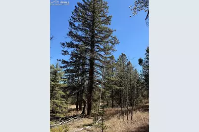 249 Gold Dust Creek Road, Florissant, CO 80816 - Photo 24