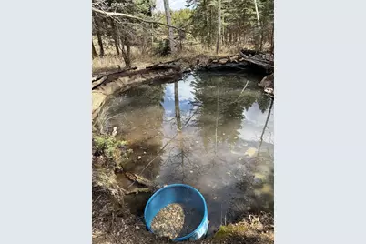 249 Gold Dust Creek Road, Florissant, CO 80816 - Photo 2