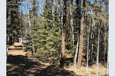 249 Gold Dust Creek Road, Florissant, CO 80816 - Photo 4