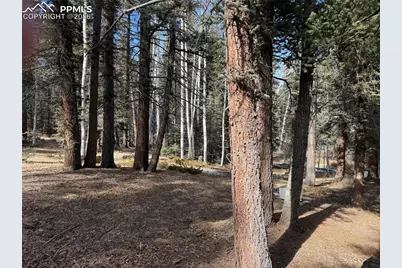 249 Gold Dust Creek Road, Florissant, CO 80816 - Photo 6