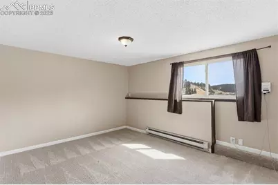 178 Cottonwood Lake Drive, Divide, CO 80814 - Photo 38