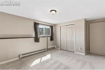 178 Cottonwood Lake Drive, Divide, CO 80814 - Photo 40