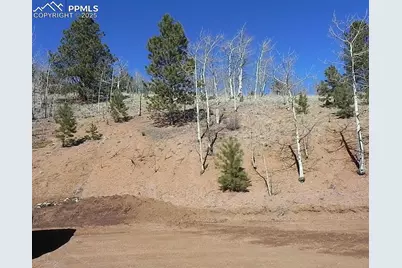 185 No Name Lane, Cripple Creek, CO 80813 - Photo 2