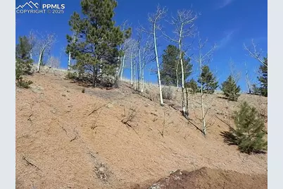 185 No Name Lane, Cripple Creek, CO 80813 - Photo 1