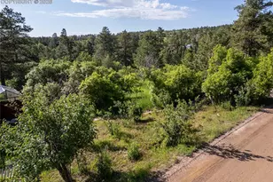 Buena Vista Ave, Palmer Lake, CO 80133 - Photo 1