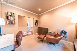 5035 Petrified Forest Trail, Colorado Springs, CO 80924 - Photo 10