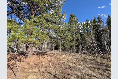 585 Eagle Rock Road, Florissant, CO 80816 - Photo 4
