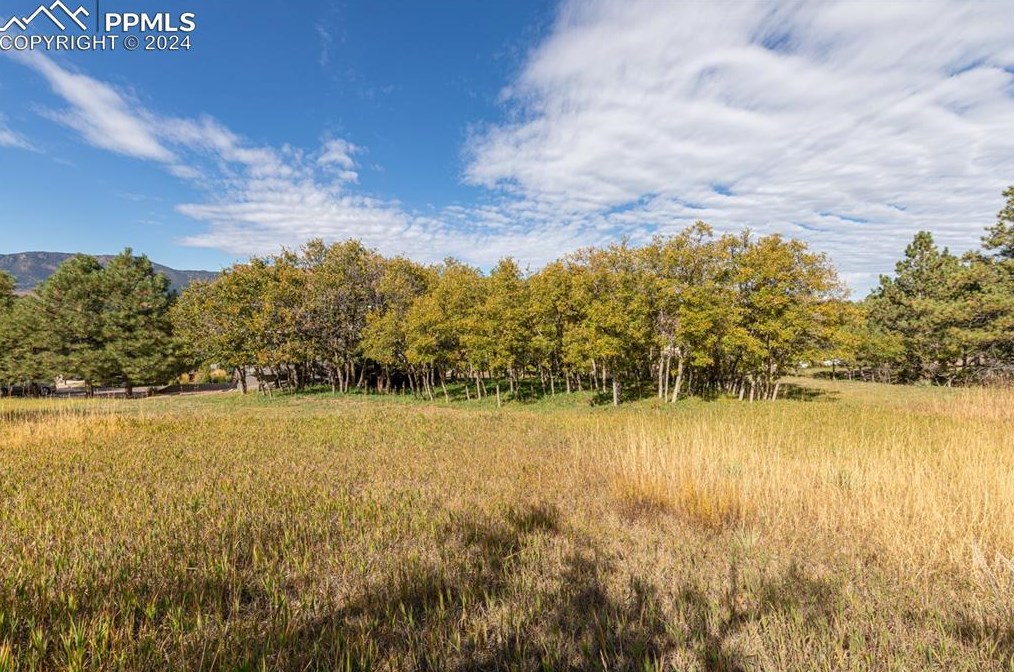 18475 Lower Lake Rd, Woodmoor CO 80132-9042 exterior