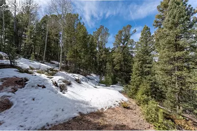 81 Haven Road, Divide, CO 80814 - Photo 22