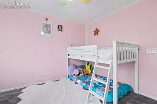 7828 February Dr, Colorado Springs, CO 80951 - Photo 22