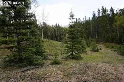 Vacant Land, Cripple Creek, CO 80813 - Photo 2
