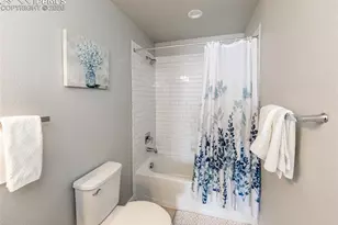 1955 Ruffino Dr, Colorado Springs, CO 80921 - Photo 30