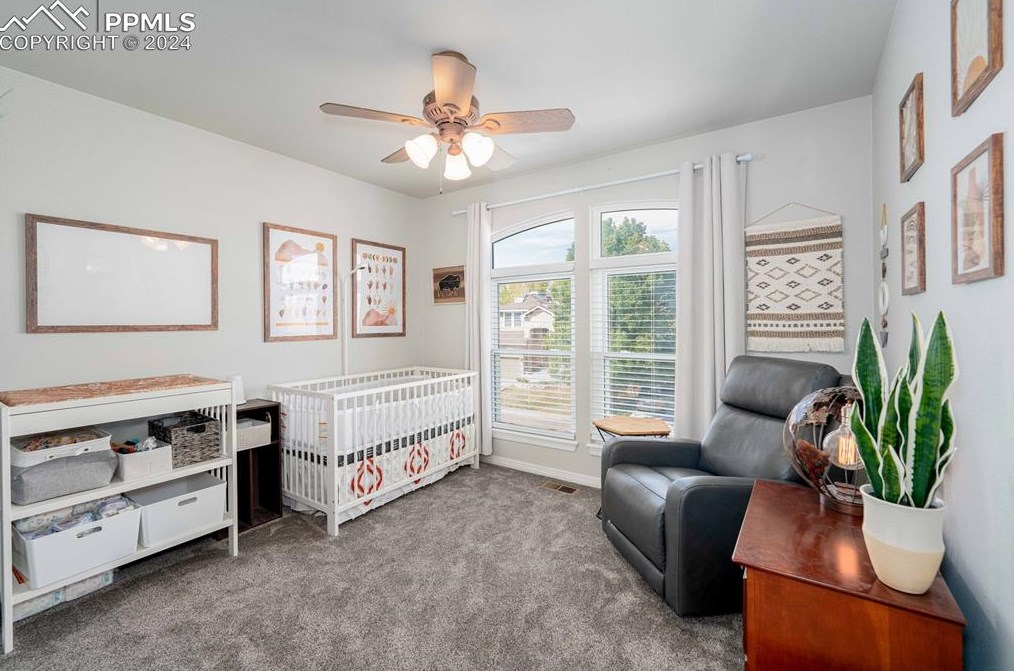 10446 Stonewillow Dr, Parker CO  80134-2503 exterior