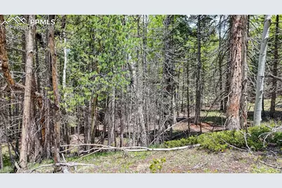 Lot 60 Monarch Drive, Cripple Creek, CO 80813 - Photo 14