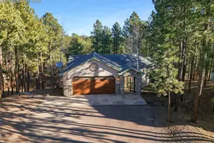 220 Cobblestone Way, Monument, CO 80132 - Photo 42