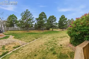 3447 Queen Anne Way, Colorado Springs, CO 80917 - Photo 26