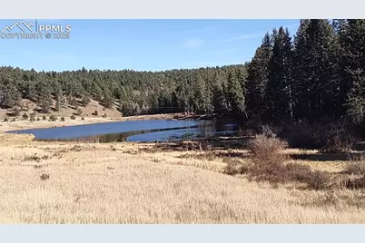 97 Shadow Lake Drive, Divide, CO 80814 - Photo 42