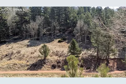 136 Valley Road, Divide, CO 80814 - Photo 6